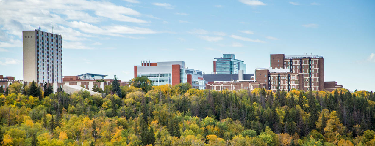 View of North Campus through the trees