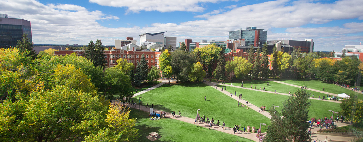 U of A quad