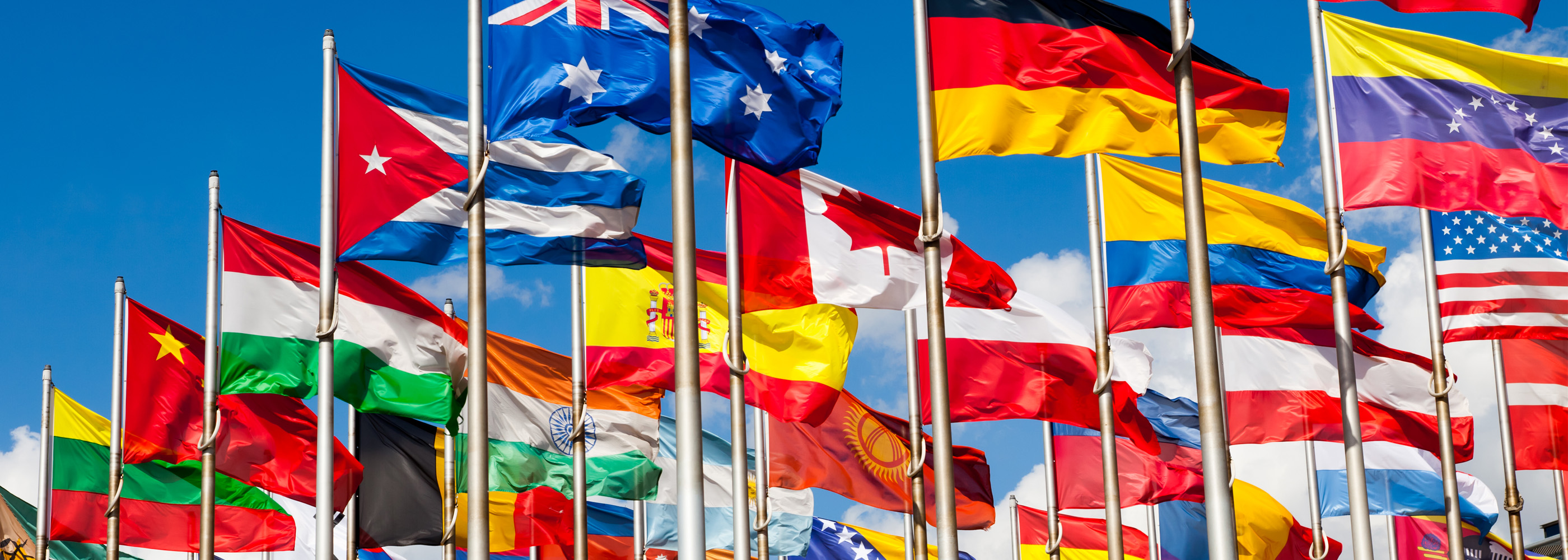 A field of flags