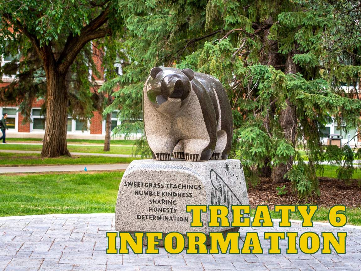 treaty6infocover.jpg