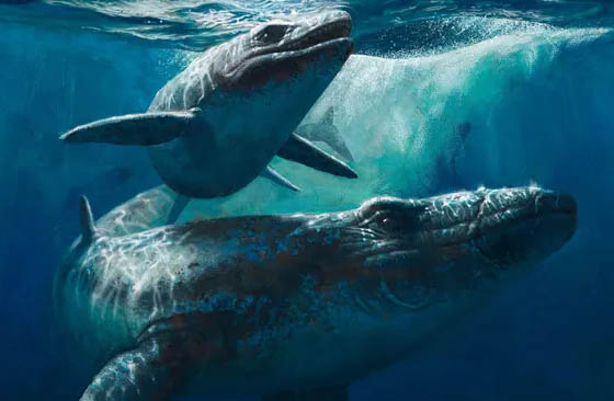 mosasaur