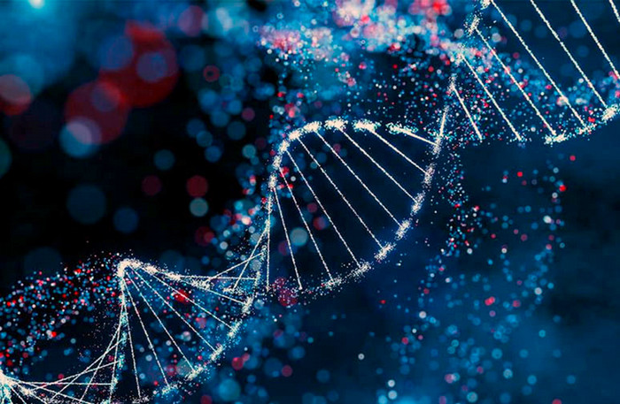 How genes interact with environmental factors.