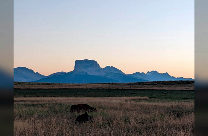 adams boundary ranch alberta