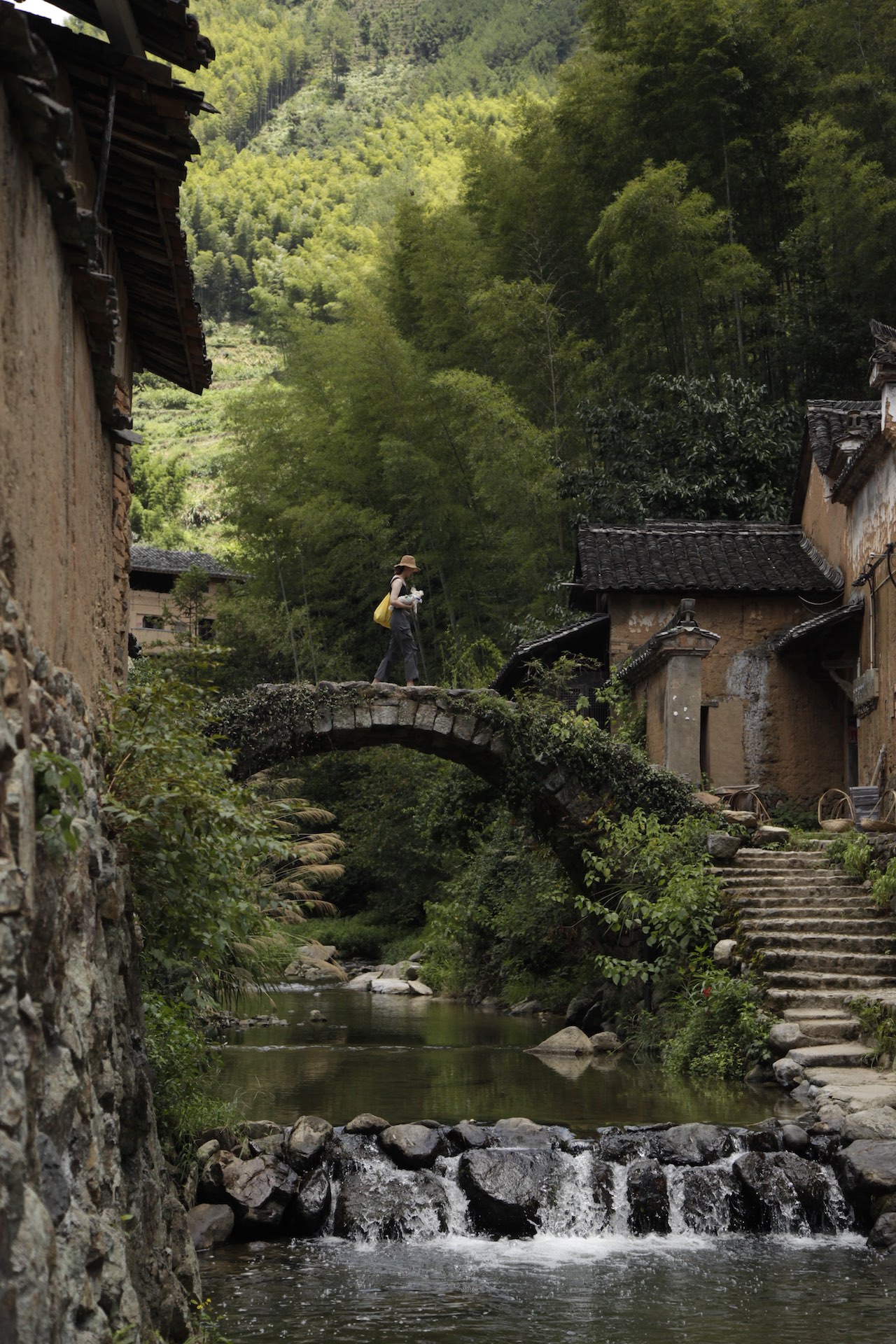 Bridge by Shida Liu