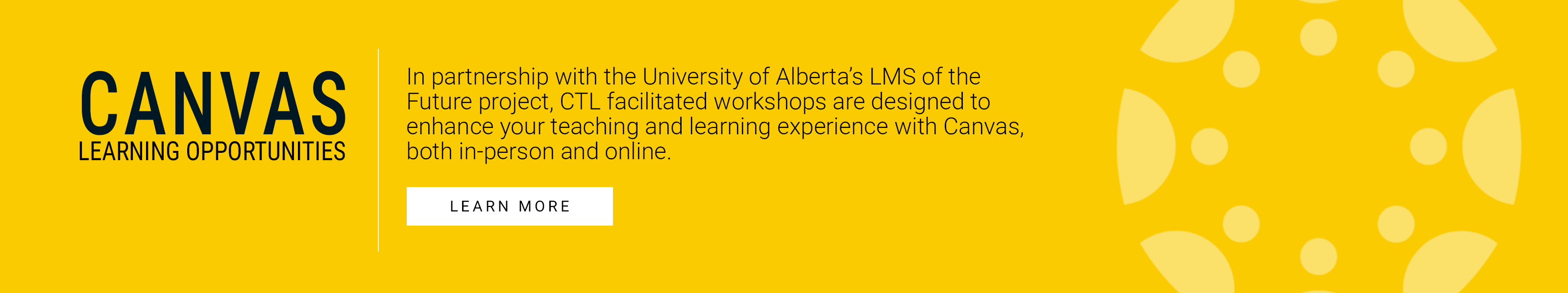 Canvas Learning Opportunities - Learn More