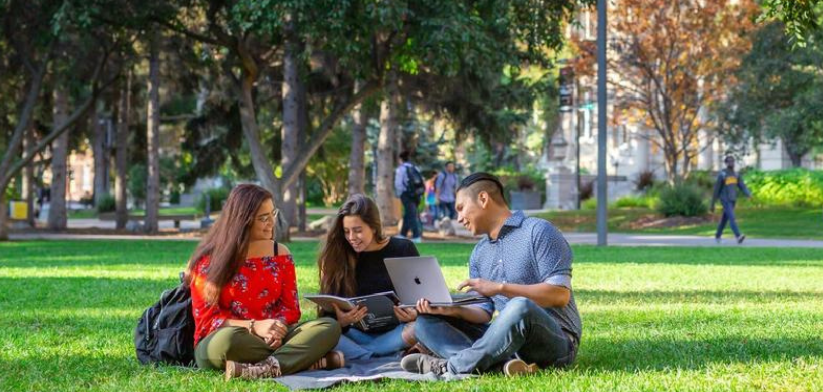 Students sitting on green grass talking