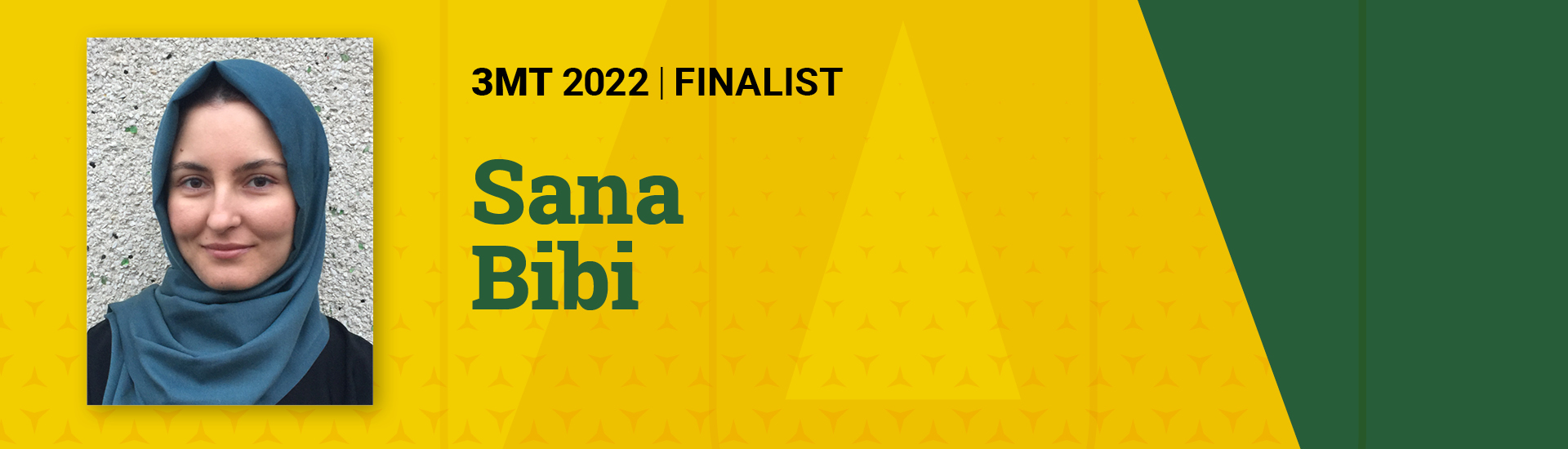 3MT Finalist Sana Bibi