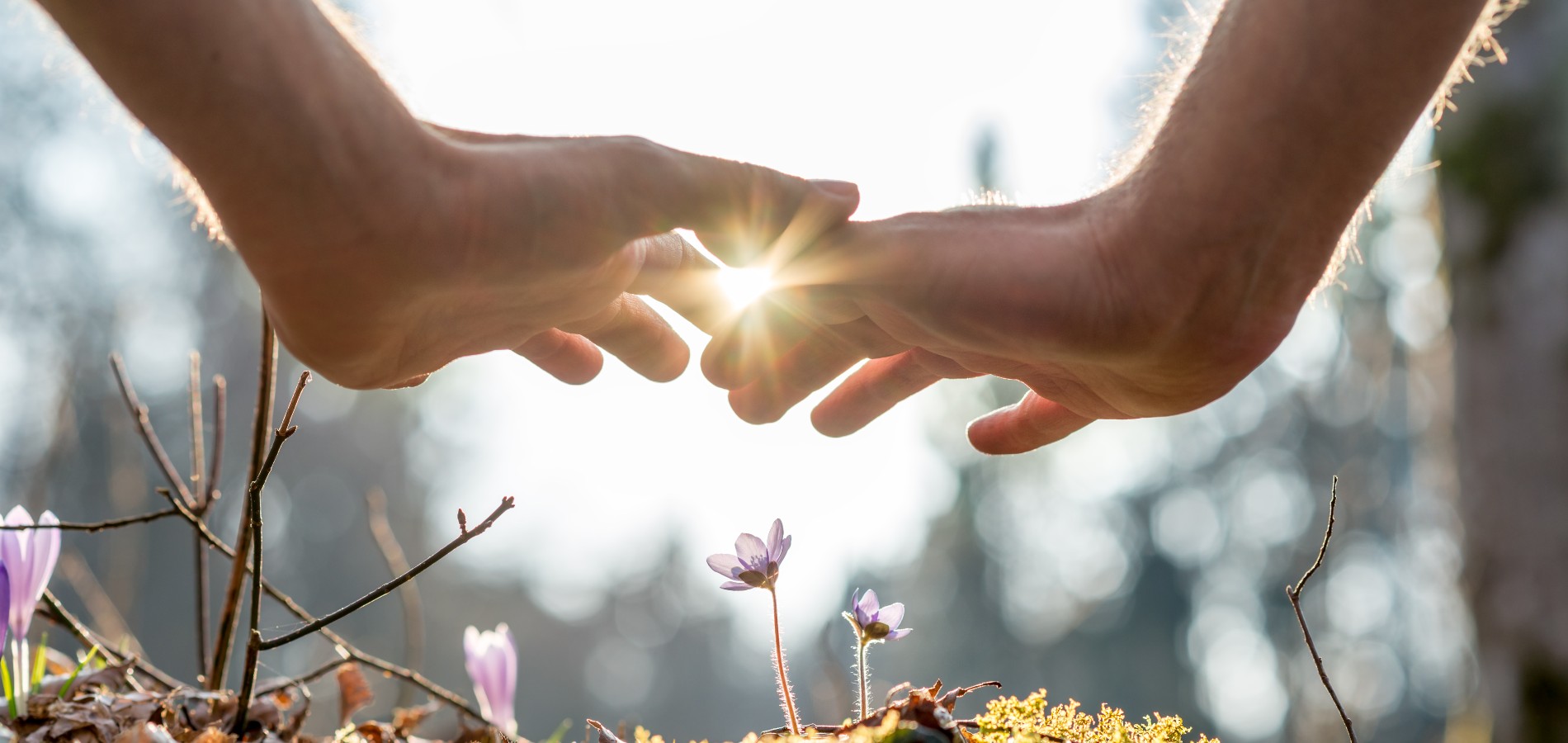 Hands touching