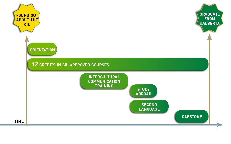 Certificate in International Learning path option