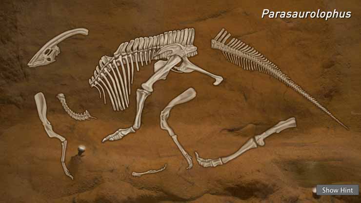 Parasaurolophus Puzzle