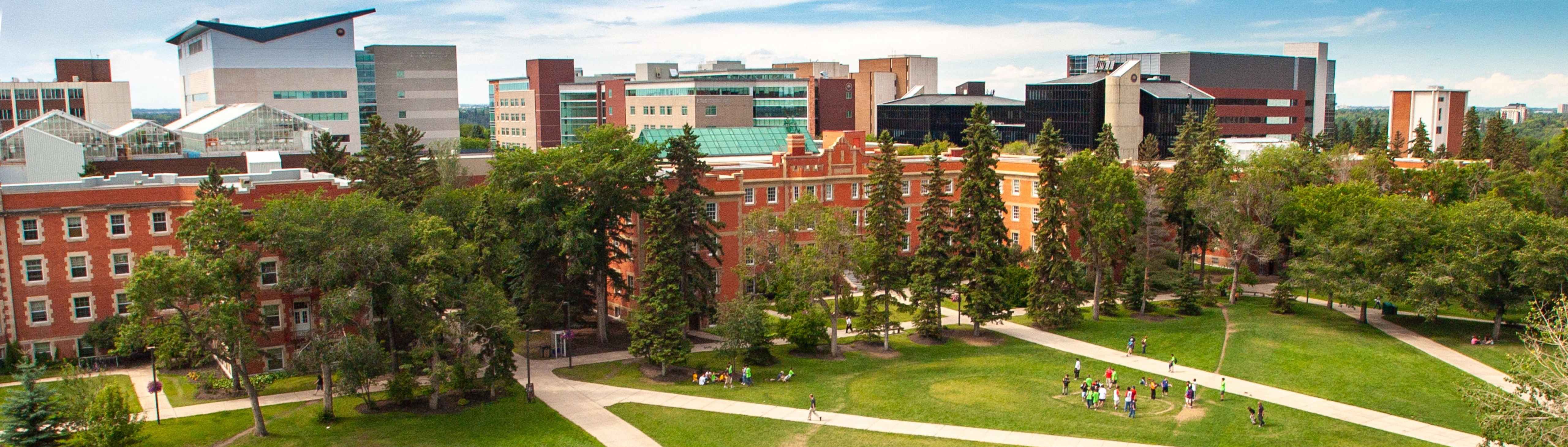 Overhead shot of the quad