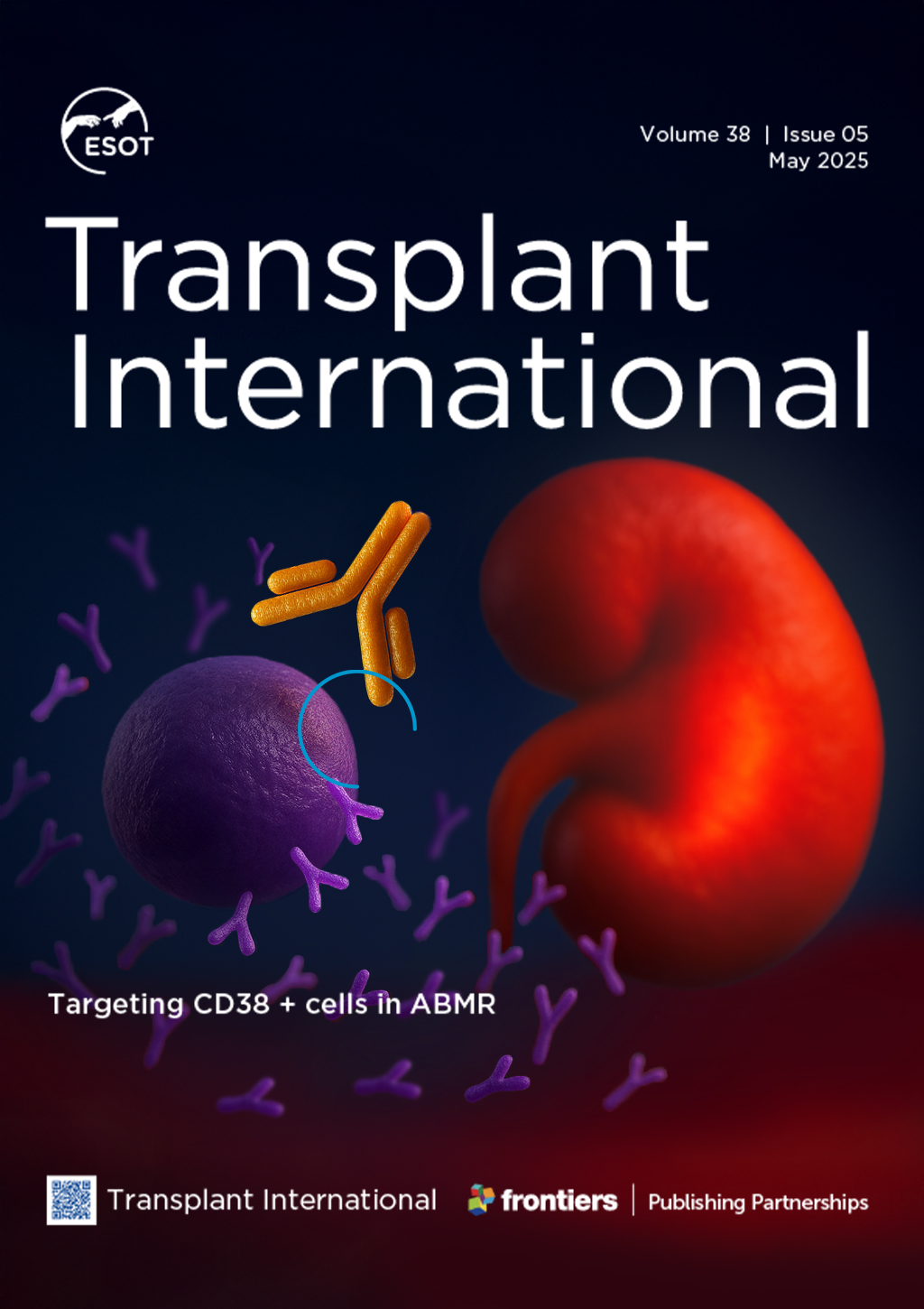 ti-may-cover.jpg