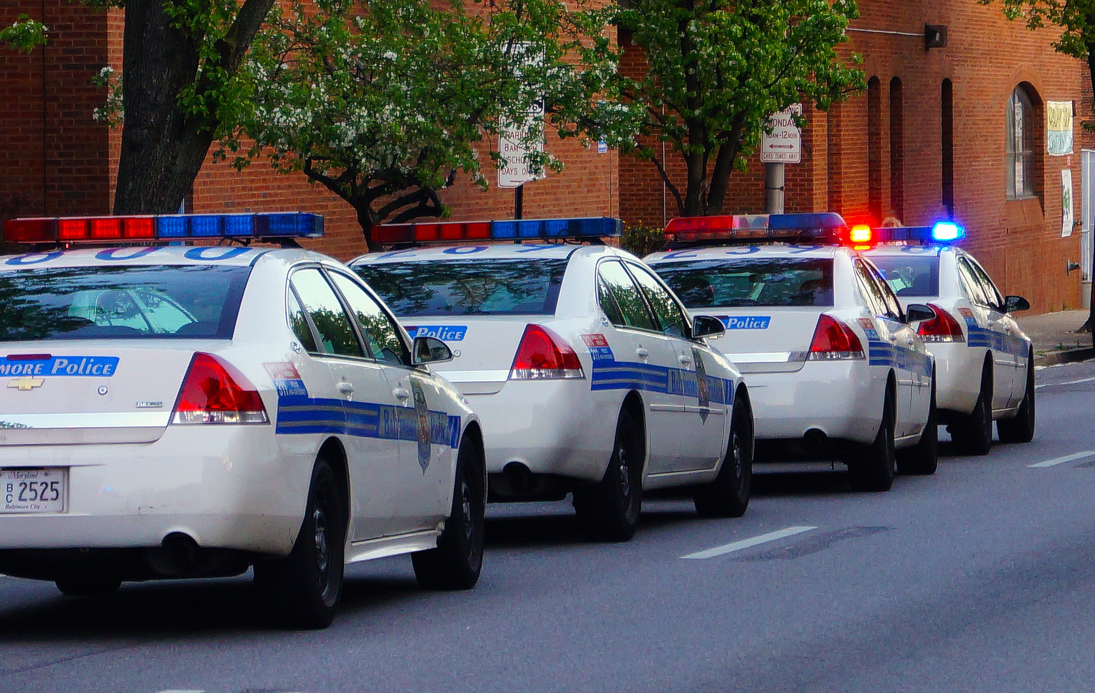 Police cars lined up on the street