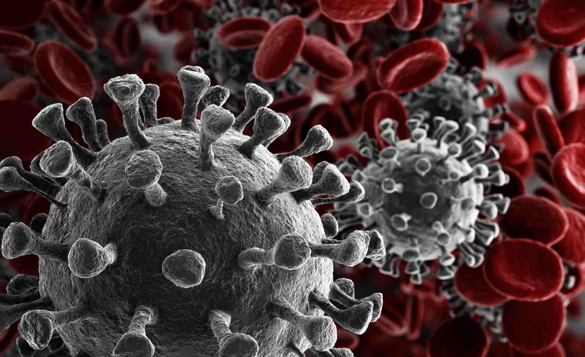 Coronavirus rendering