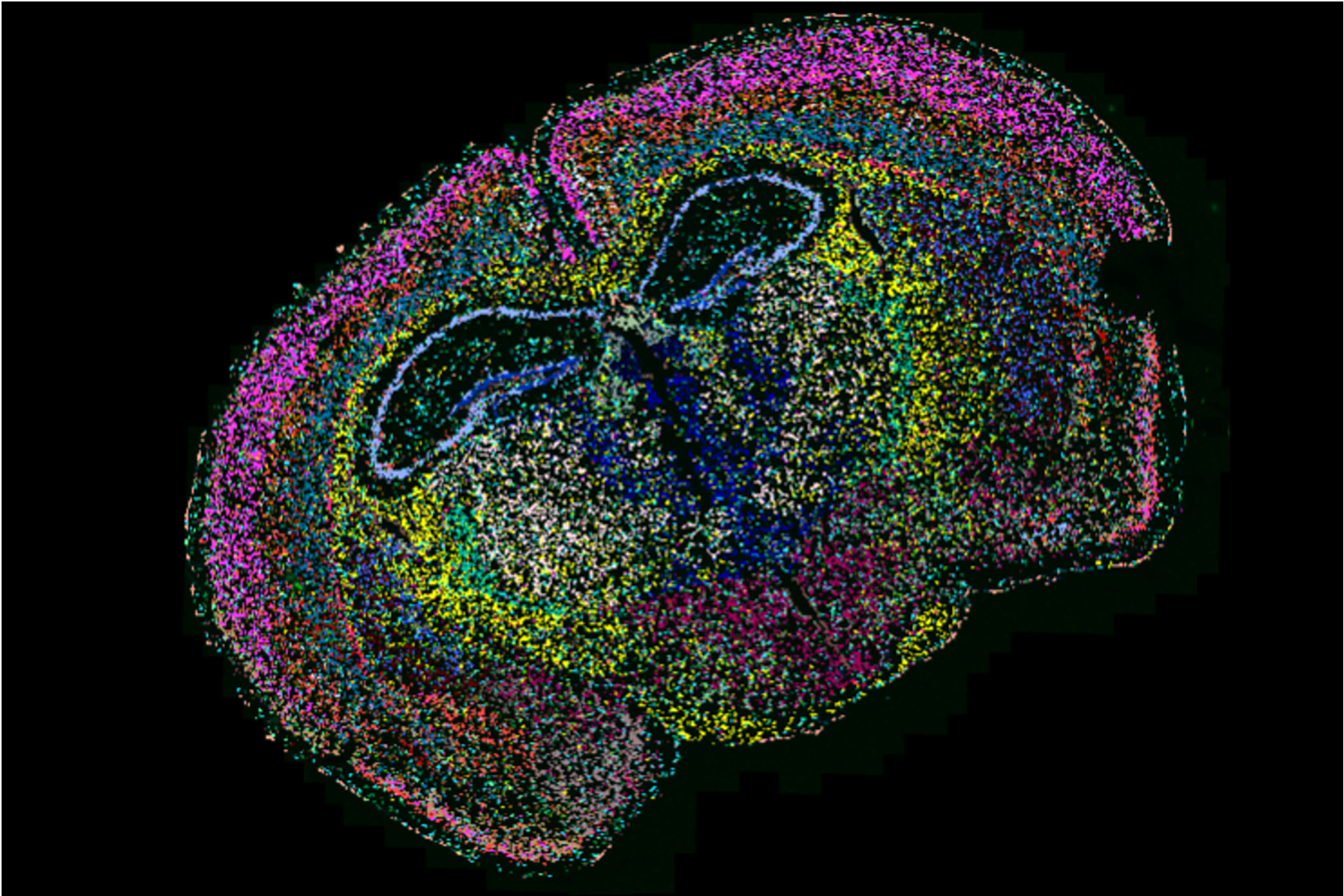 Advanced Cell Exploration Core