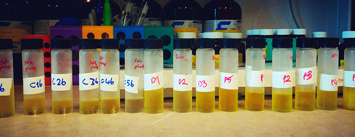 Lipidomics Core