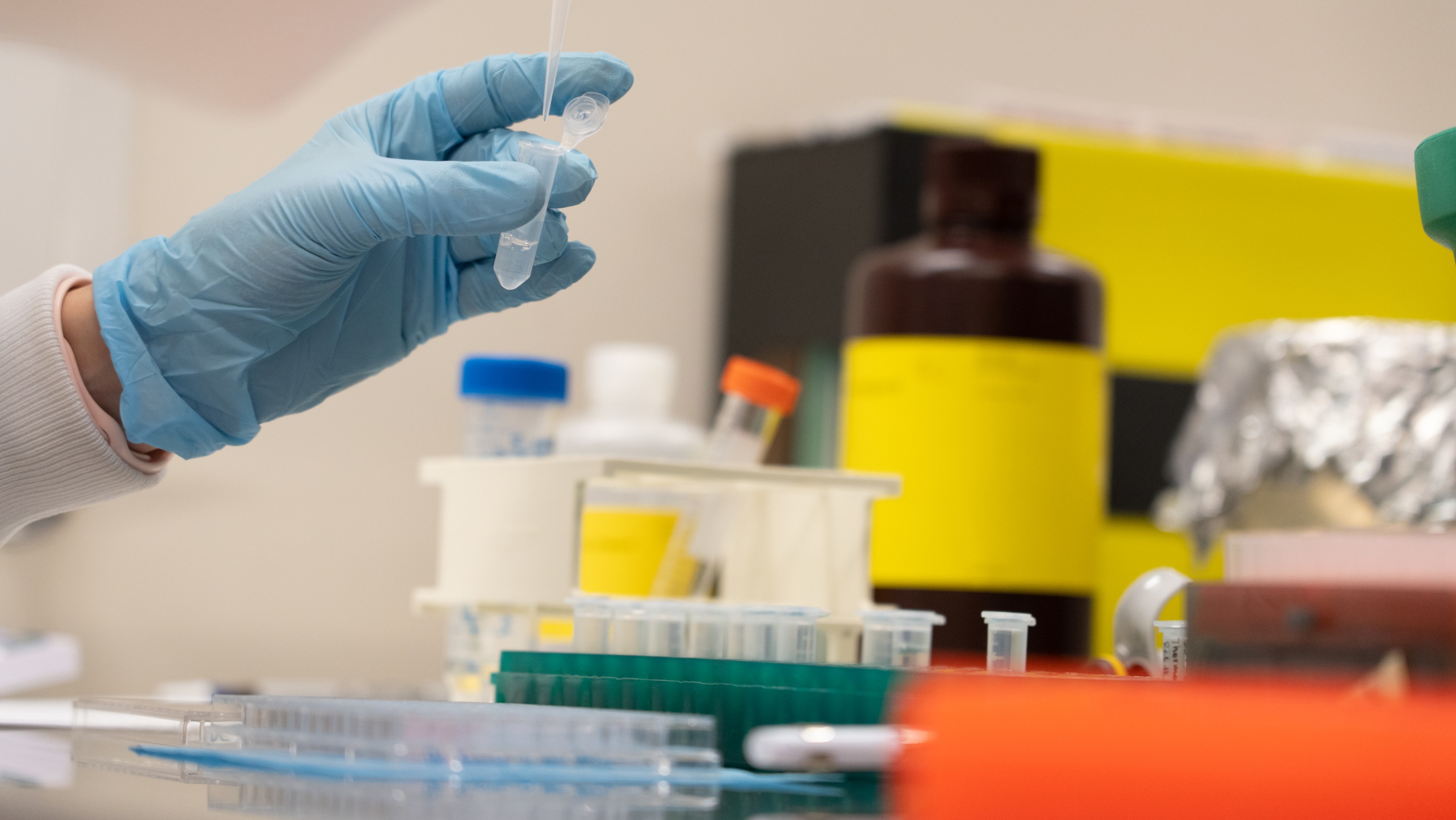 Gloved hand adding a sample to a container