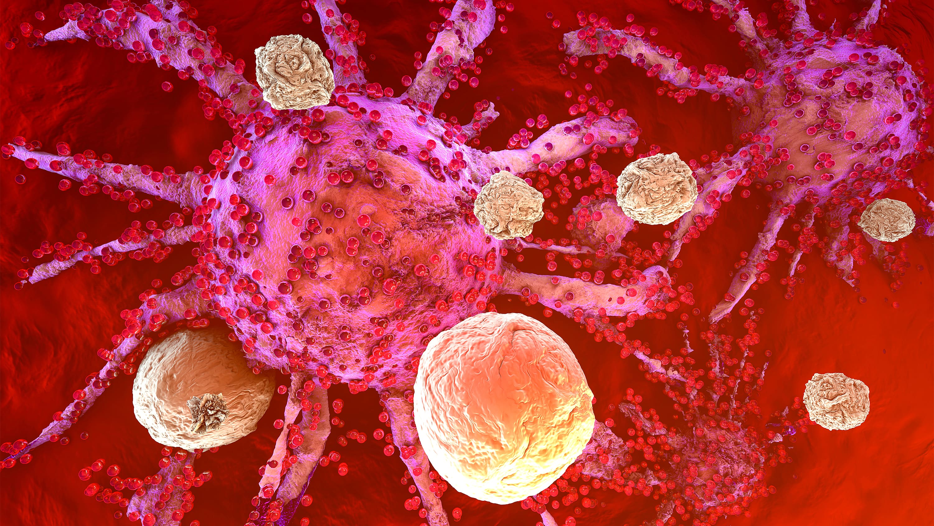 image of blood cells attacking a virus