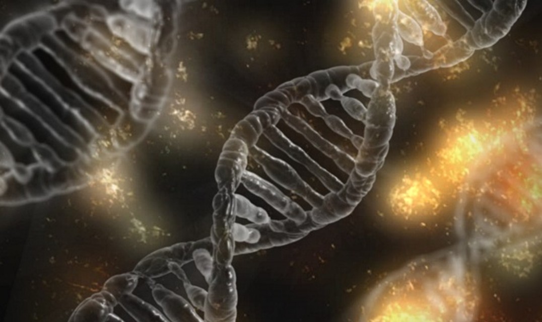 Three double-helix DNA strands with yellow-orange molecules floating between them