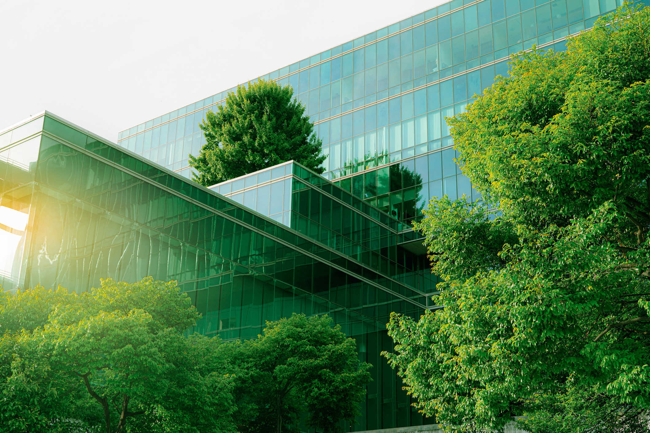 glass buildings paired with green plants