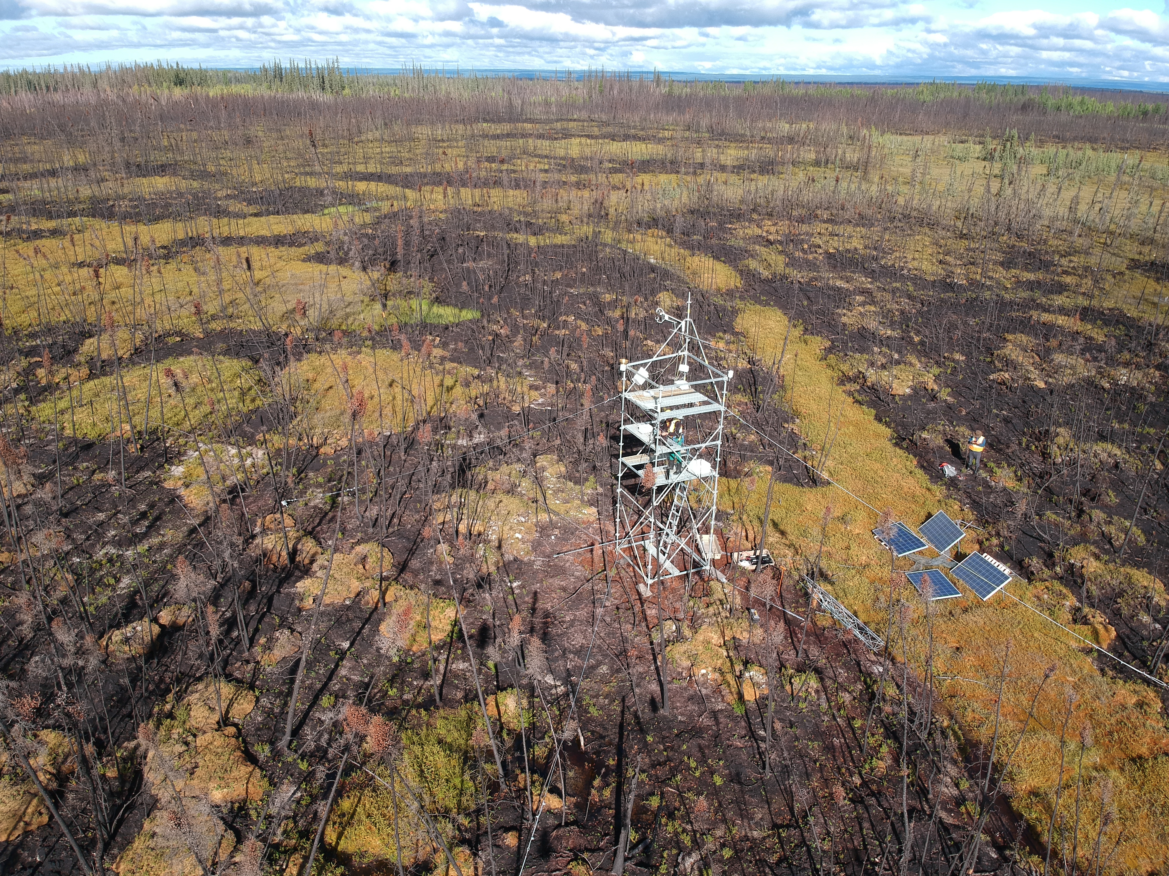 aerial peatland shot