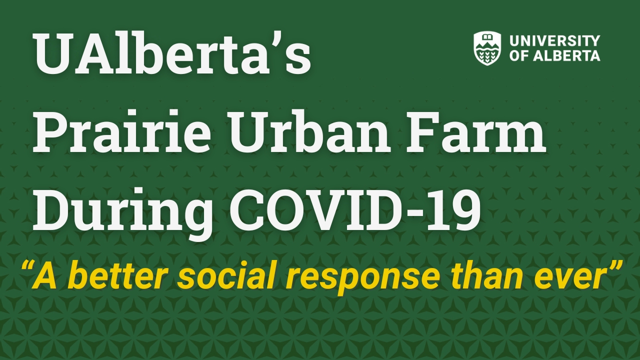 prairie-urban-farm-university-of-albertas-south-campus.jpg