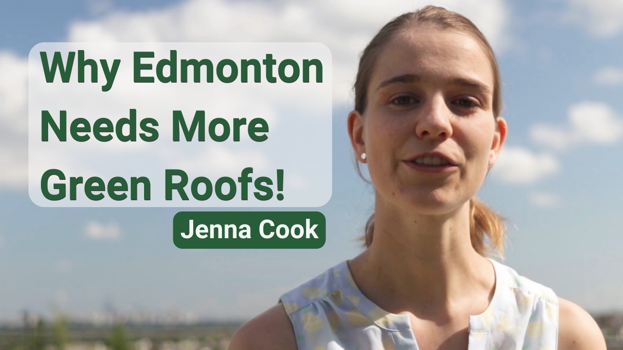 sdg-11-why-edmonton-needs-more-green-roofs.jpg