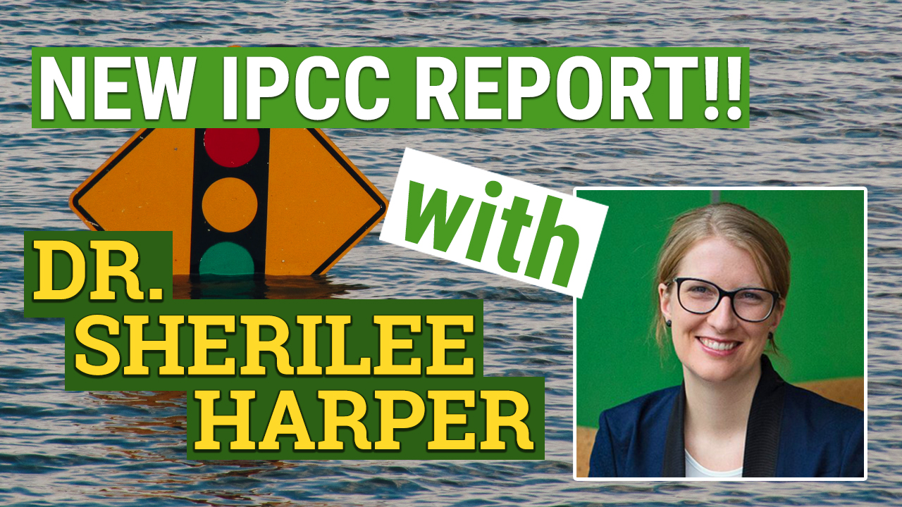 sherilee-ipcc-thumbnail.jpg