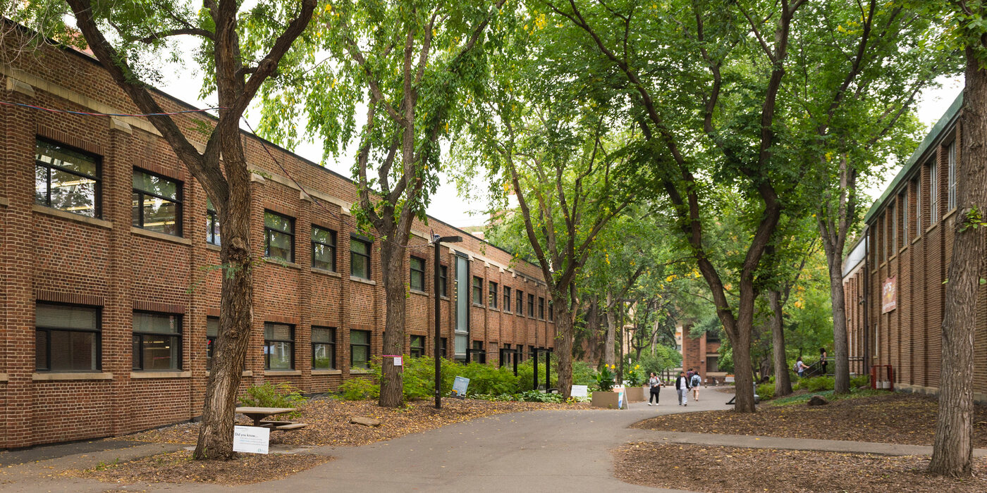 Pathway between Triffo Hall and the North Power Plant Building on North Campus framed by trees on an overcast day.