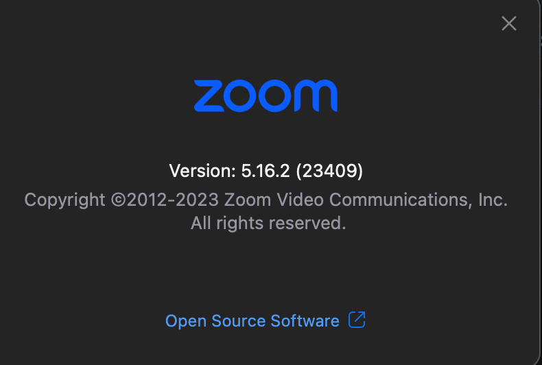 Zoom on macOS 2