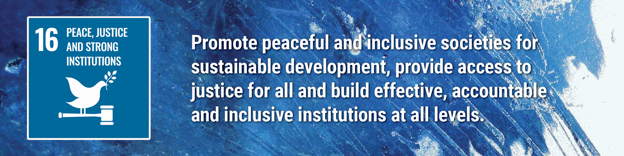 Goal 16: Peace, Justice And Strong Institutions | Sustainability Council